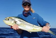 USC leads research into stocks of popular eating fish