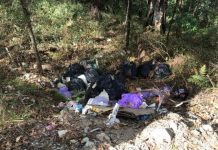 Illegal dumpers caught and fined