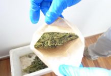 Cannabis operation leads to 17 arrests on Sunshine Coast