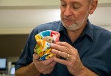 Koala vaccination nearing roll out