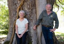 Fighting for Noosa’s future