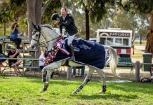 Post Covid showjumping