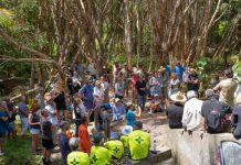 Glossy blacks draw crowd to Burgess Creek