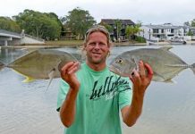 Storms bring the fish