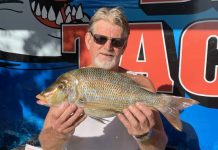 Storms bring the bite