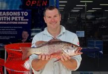 Northerlies bring the bite