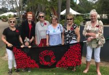 tribute of poppies for Remembrance Day