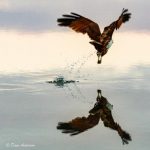 wildlife_220709_02.jpg