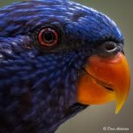 wildlife_220709_04.jpg