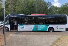 Ferry on board for Go Noosa