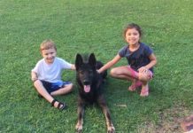 Retired Police Dog Ajax passes away