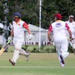 cricket_224137_02.JPG