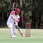 cricket_224137_03.JPG