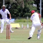 cricket_224137_04.JPG