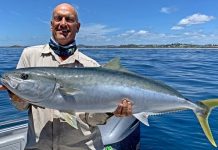 Good pelagic with the start of summer