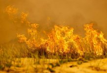 Local crews fight fires, tourist camp saved