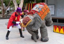 Hastings St livens up for Christmas