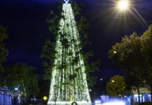 Cooroy Christmas Lights winners announced