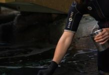 In-Water Penguin Encounter to launch in February 2021