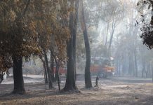 Resident clashes with Council over ground fuel clearing