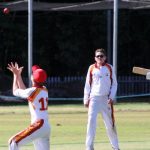 cricket_225364_02.JPG