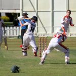 cricket_225364_03.JPG