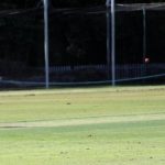 cricket_225364_04.JPG