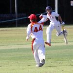 cricket_225364_05.JPG