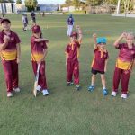 cricket_226603_04.jpg