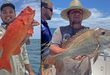 Different again in 2021