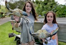 Mixed bag to start 2021