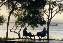 Boom time on the Discovery Coast