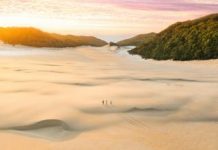 Cooloola – better late than never