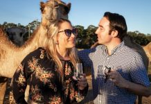 Enjoy camels and canapés this Valentine’s Day