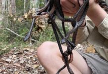 Hatching season keeps snake catcher on his toes