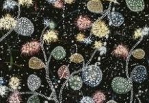 Regeneration, hidden histories and abstract dreams