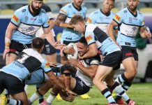 Sharks tickets going on sale