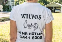 Cats targeted in wildlife plan