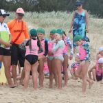 Nippers_227467_05.jpg