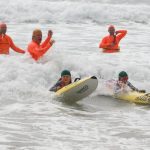 Nippers_227467_09.jpg