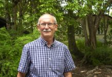 Bring birds into the backyard