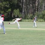 cricket_227200_01.JPG
