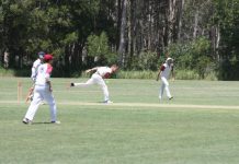 Two wins for Thunder cricket teams