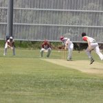 cricket_227200_02.JPG