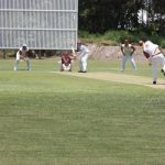 cricket_227200_03.JPG