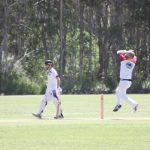 cricket_227200_04.JPG