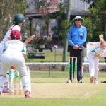 cricket_227891_01.JPG