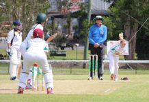 Cougars leap into semi-final