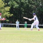 cricket_227891_02.JPG