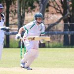 cricket_227891_03.JPG